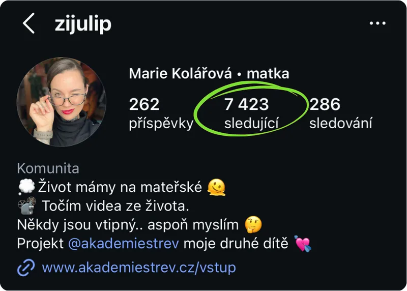 Screenshot účtu